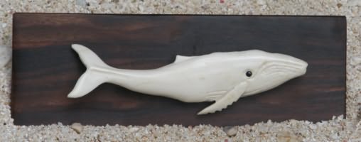 Knochen Wal